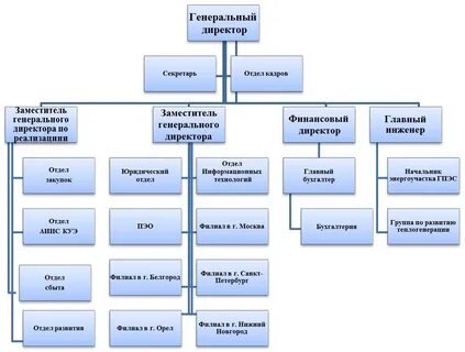 Организационная структура научного предприятия