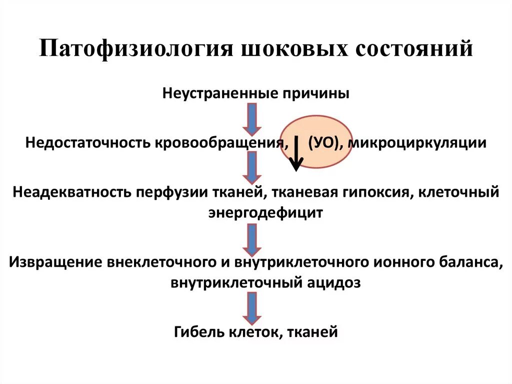 Классификация гипоксии патофизиология. Основные патогенетические механизмы шока. Механизм развития гипоксии патофизиология. Причины шока патофизиология.