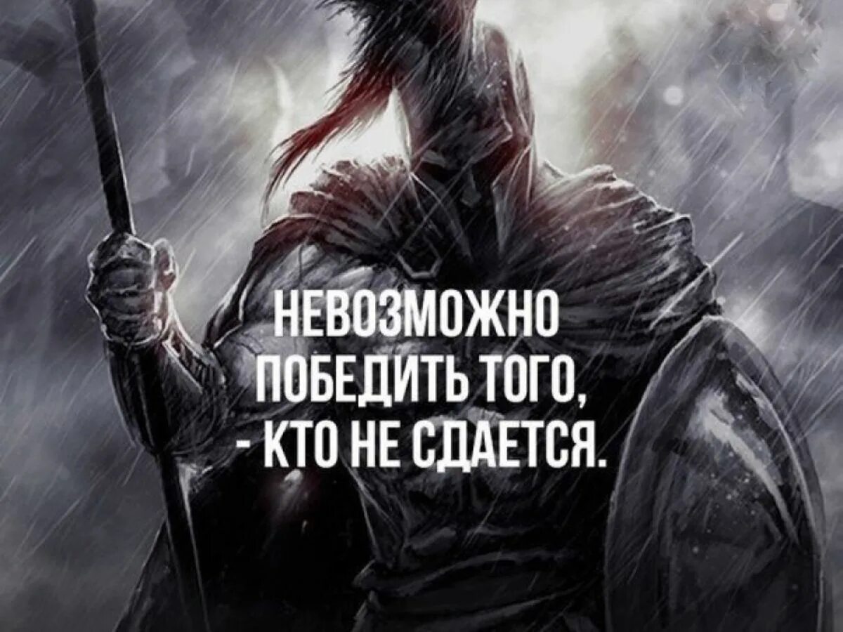 Жизнь любит смелых