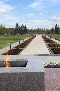 Пискаревка сегодня