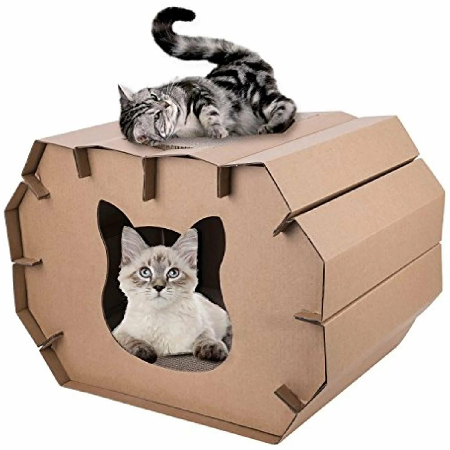 Картон кэт. Картонные игрушки для котов. Игрушка для кота из бумаги. Картонный кот. Домик для бумажной кошки.