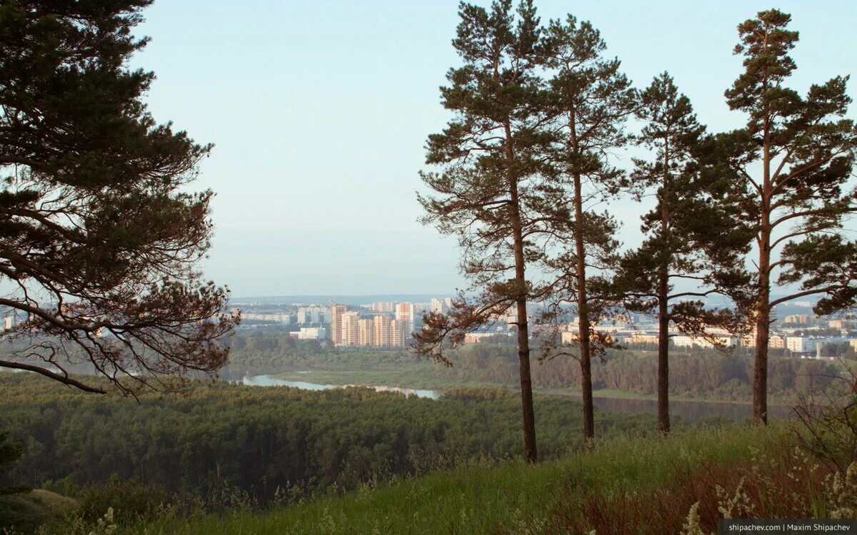 гостиница сосновый бор в сосновом бору ленинградская область. берендино воскресенский район карьеры. сосна вблизи. рядом сосновый. дом в сосновом бору.