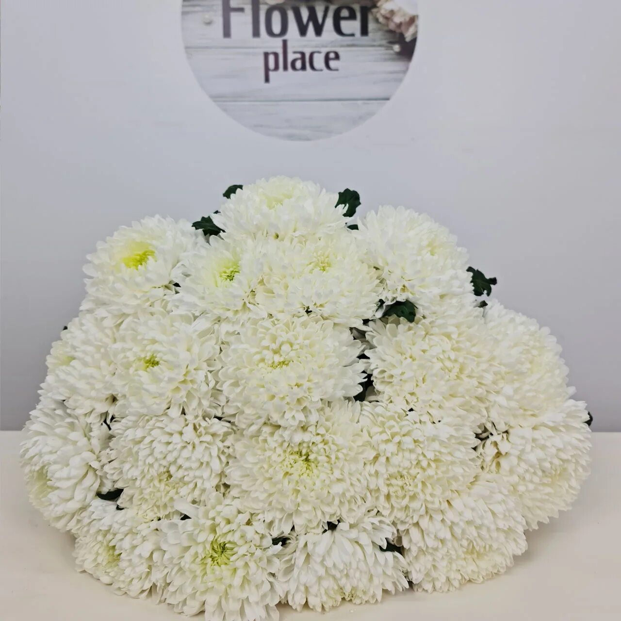 хризантема шаровидная одноголовая букет. букет с шаровидными хризантемами и розами. хрищантема одноголовая шар. хрищантема одноголовая шар. хрищантема одноголовая шар.