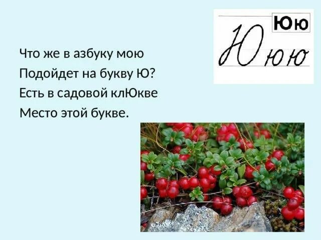 Азбука в картинках. Ягода на букву ю. Фрукты на букву а. Фрукты и овощи на букву а. Фруктовая азбука в картинках.