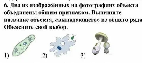 2 объекта объединены общим признаком