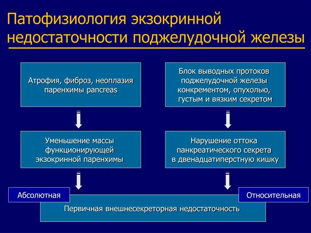 Функции панкреатита. Недостаточность экзокринной функции поджелудочной железы. Нарушение экзокринной функции поджелудочной железы этиология. Лёгкая степень экзокринной недостаточности поджелудочной железы. Нарушение экзокринной функции поджелудочной железы.