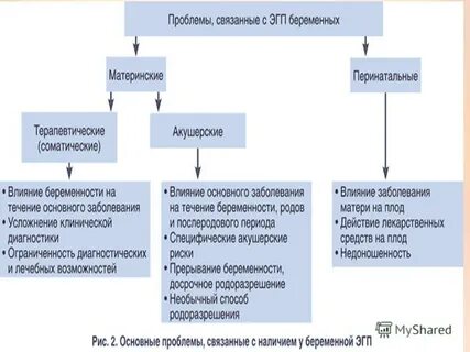 Соматические заболевания при беременности
