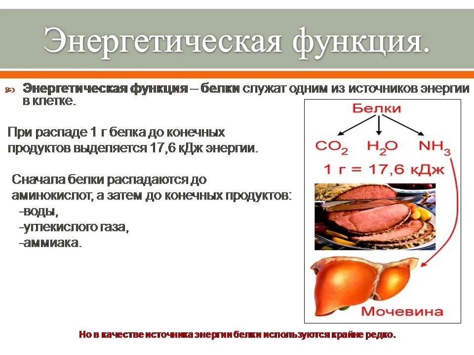 Энергетическая белка. Энергетическая функция белков. Энергетическая функия. Энергетическая функция клетки.