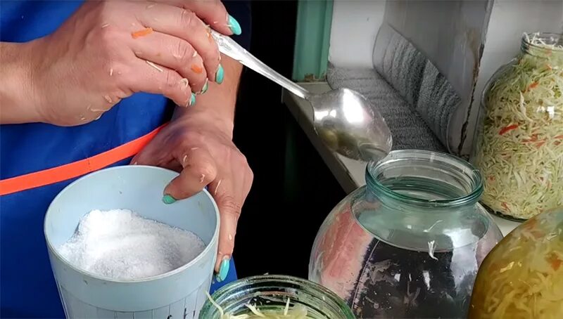 Когда в сумку с капустой добавили