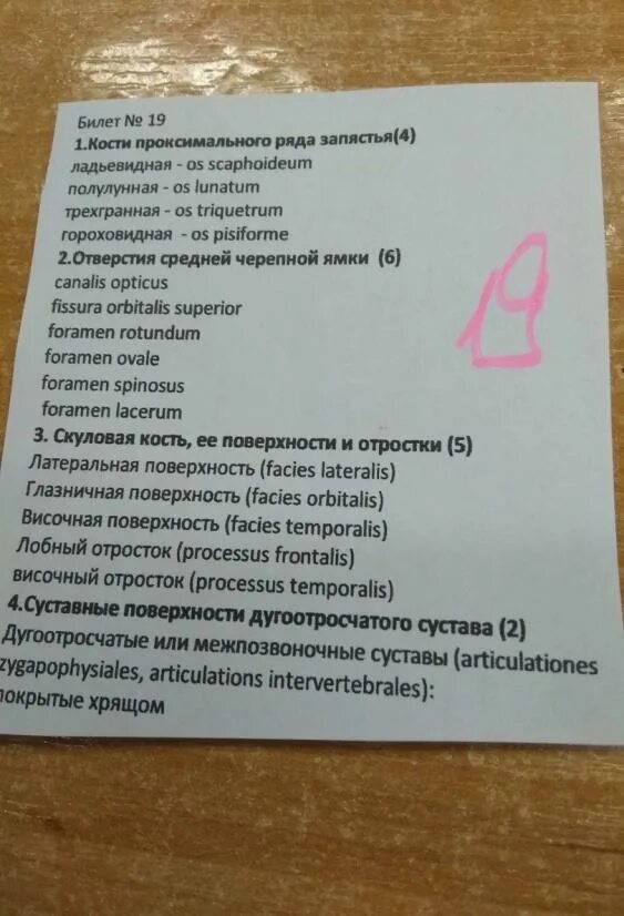 Билеты по анатомии. Экзаменационный билет по анатомии. экзамен по анатомии по билетам. билет на экзамен по анатомии. билеты по анатомии 1 курс.