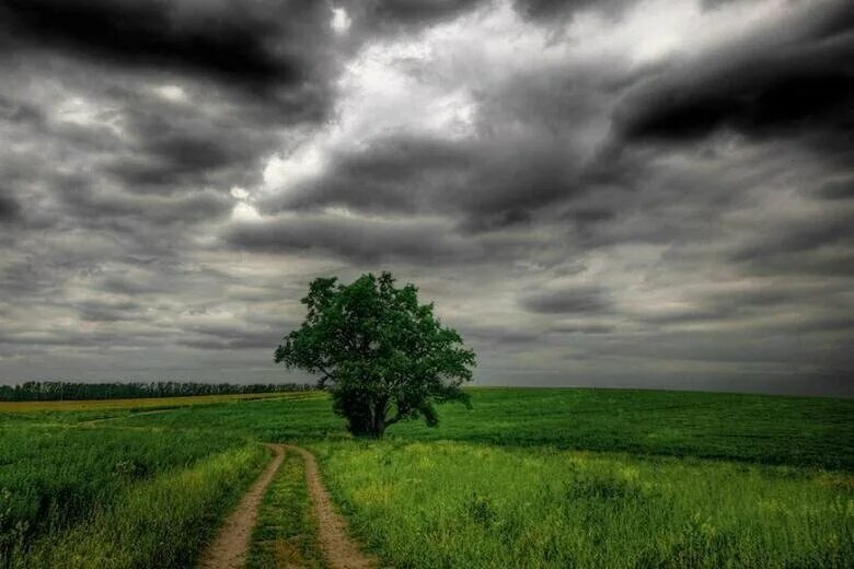 Пасмурно летом. Какая пасмурно. Хмурое небо. Пасмурное лето. Пасмурное небо.