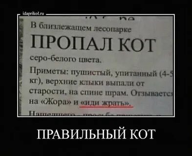 Подъедите или подъедете как правильно пишется слово