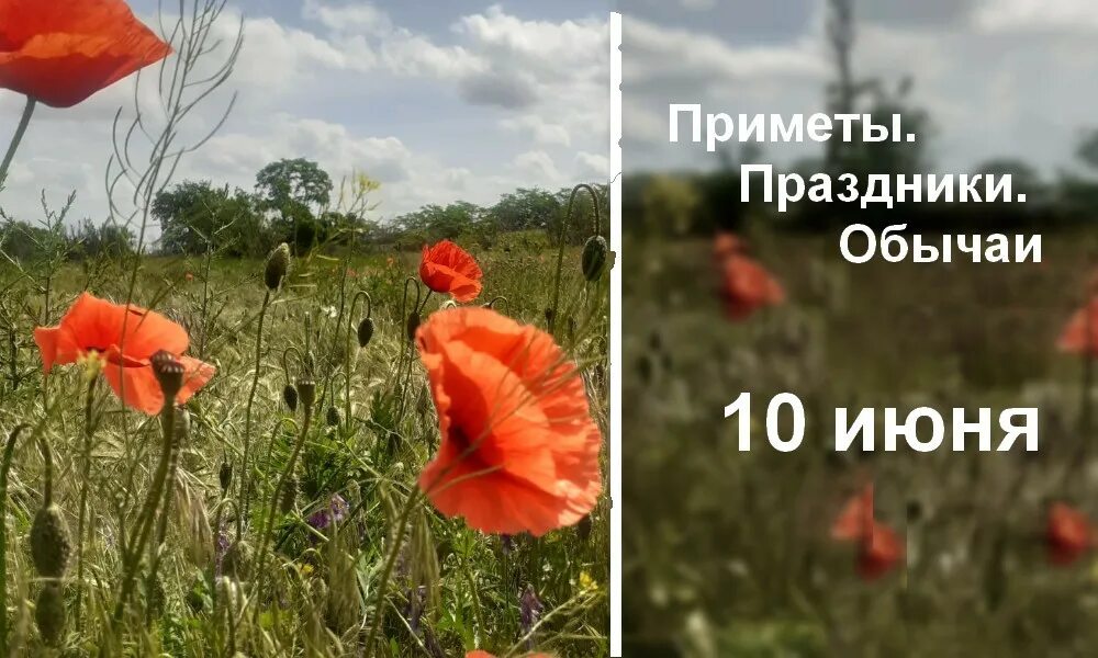 10 августа приметы и поверья. Приметы июня. что будет 10 июня.