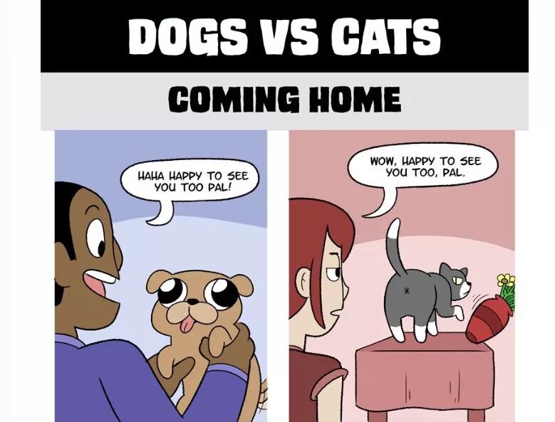 Why can we be friends. Кошка vs собака. Кошки против. Изображения датасета Cats vs Dogs. Cats versus Dogs.