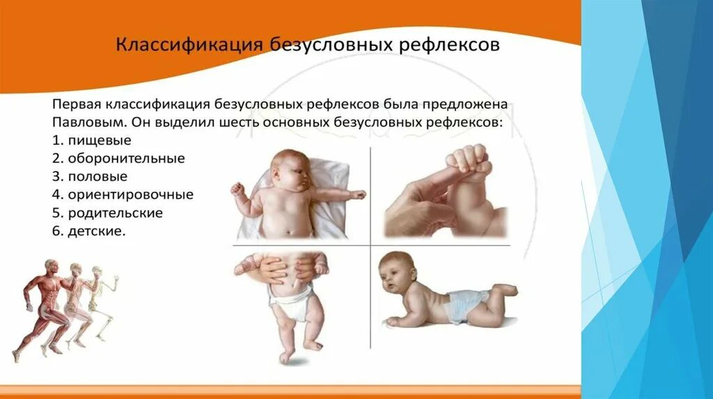 Врожденные рефлексы новорожденных. Рефлексы новорожденных неонатальные. Классификация Павлова безусловных рефлексов. Врождённые рефлексы новорожденного. Условные и безусловные рефлексы у детей.