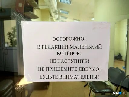 Жизнь редакции