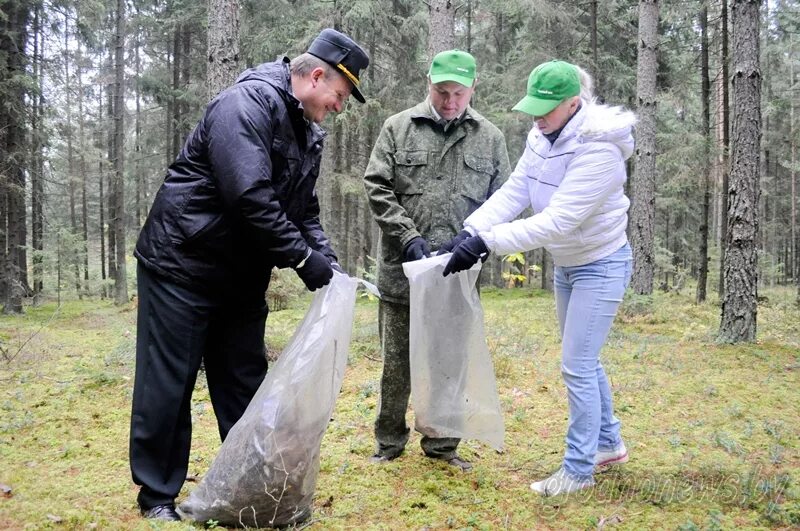 Где находится лесхоз