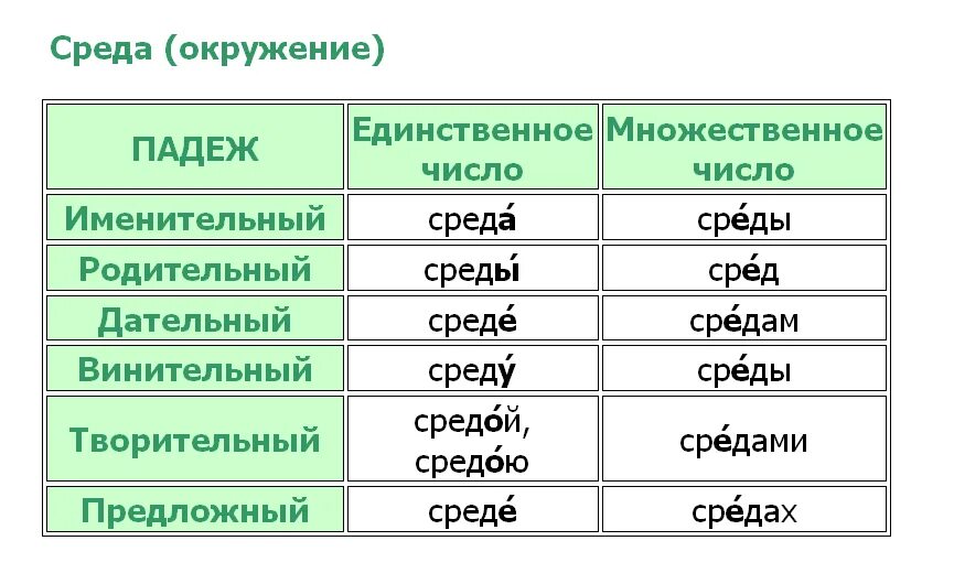 Множественное слово месяц. Среда склонение по падежам с ударением. Среда склонение и ударение. По средам ударение. По средам ударение в слове.