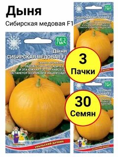 Дыня сибирская медовая