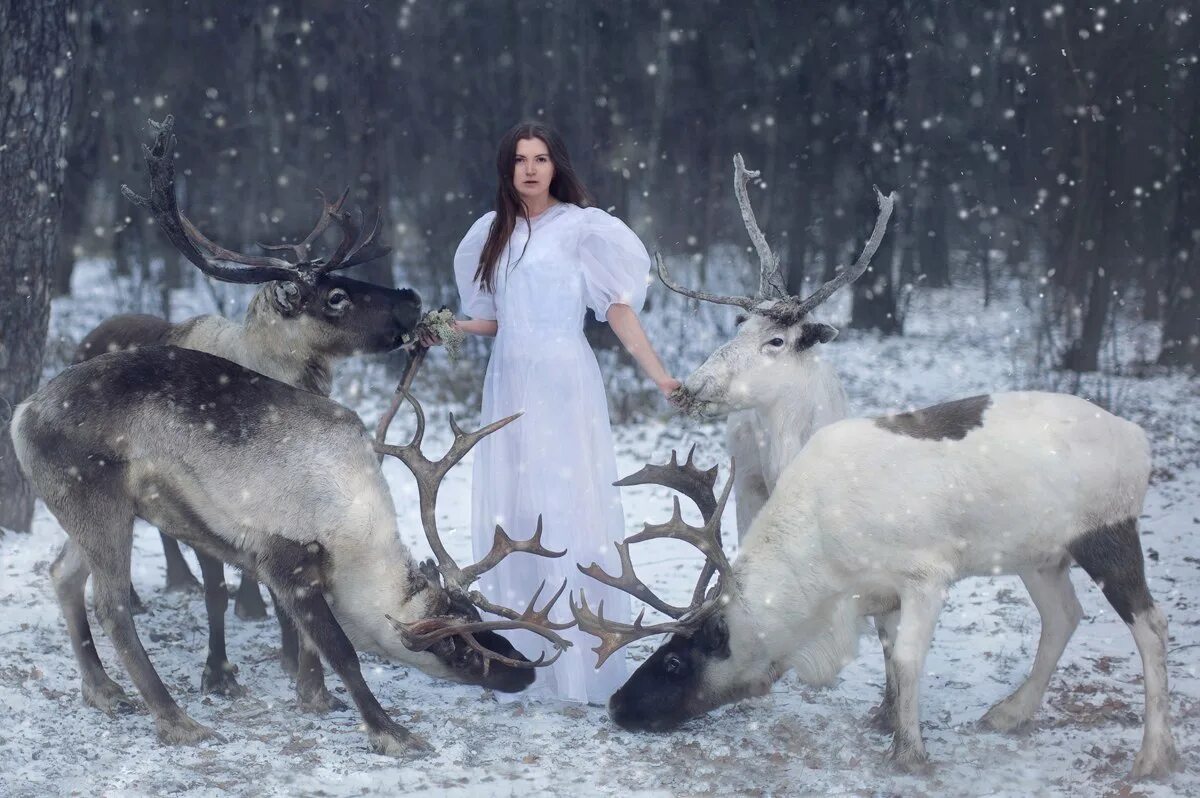 Девушка олень. Хоровод оленей. Фотосессия с оленем. Девушка с северным оленем. Девушка на олене