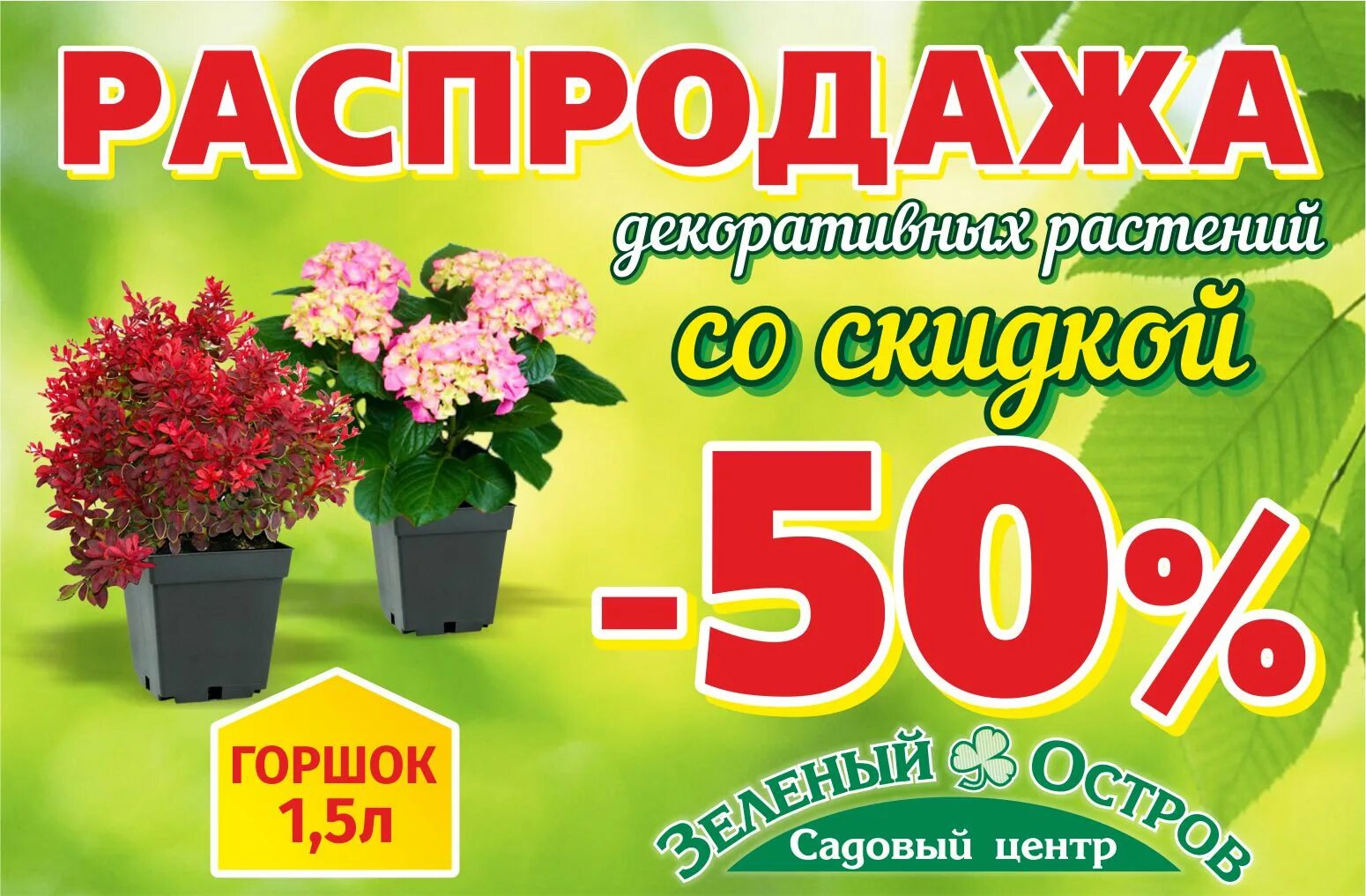 Гарденмарт интернет магазин отзывы покупателей. Распродажа растений. Гарден март саженцы. Распродажа цветов. Акция на растения.