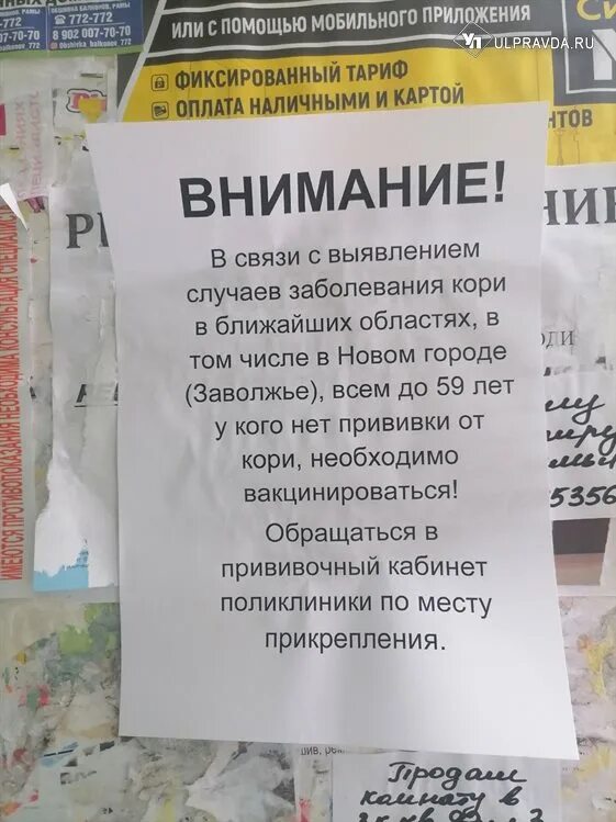 Объявление о вакцинации против кори. Корь в Волгоградской области.
