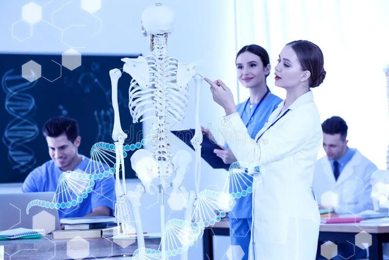 Студенты изучающие биологию. Студенты медики изучают анатомию. изучение анатомии студентами картина. изучение анатомии семинар. медики изучают анатомию на моделях.