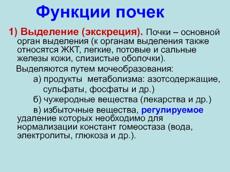 Функция выделения осуществляется за счет деятельности. Функции почек выделение. функции органов выделения. выделительная функция почек.
