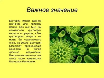 Мини сообщение о человеке
