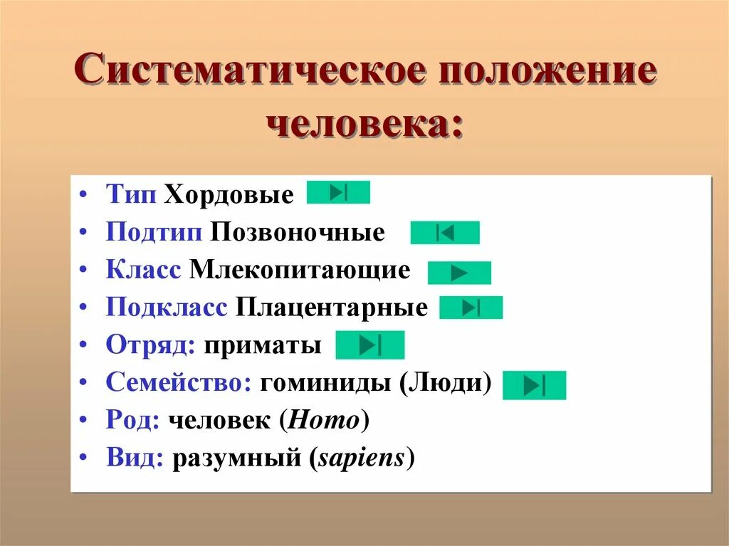 Расположите таксономические группы. Систематическое положение. Систематическое положение человека Тип. Систематическое расположение. Систематическое класс систематическое положение.