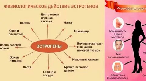 Как эстроген влияет на женщину