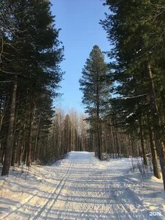 Турбаза нижневартовск