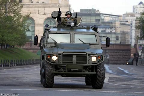 Тигр м