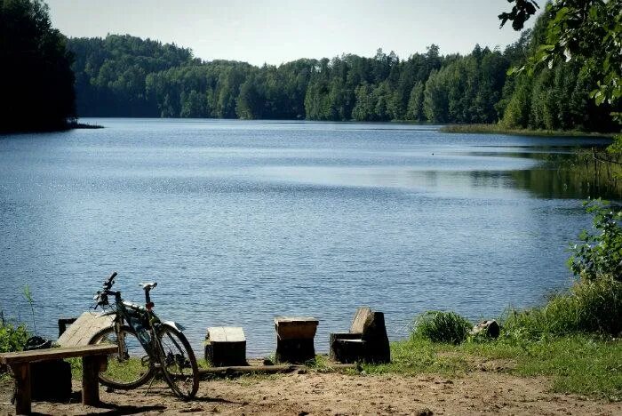 Пос липово. Озеро липовое Лужский район. Озеро липовое Тюмень. Озеро липовое Лужский полигон. Оз липовое Тюмень пляж.