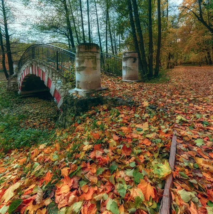 Осенняя 14