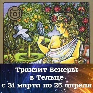 Телец в венере