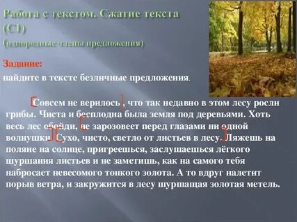 Лес хорош какое предложение