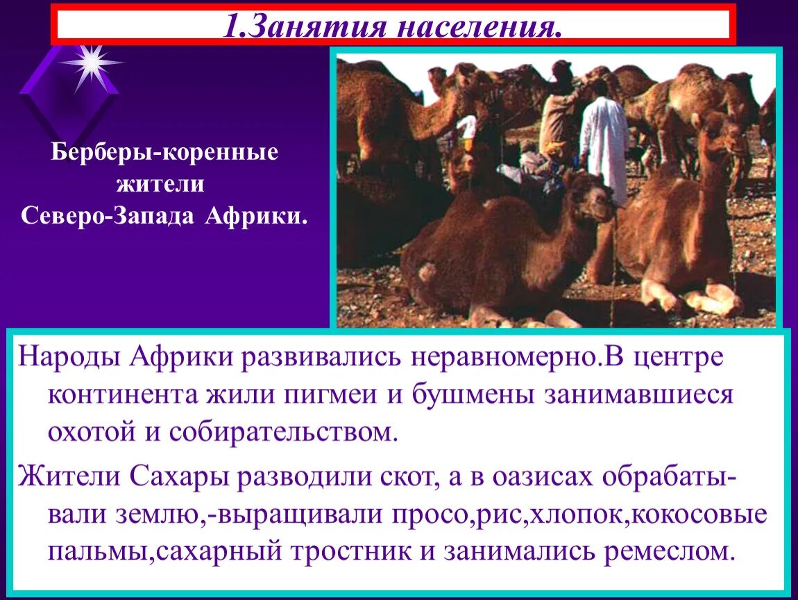 Занятия населения Африки. Народы и занятия жителей Африки. Занятия народов. Занятия жителей Африки. Племя презентация