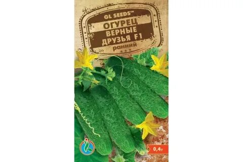 Огурцы сорт верные друзья