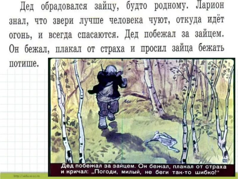 Текст скребицкого хитрый заяц 5 класс. Изложение хитрый заяц. изложение про зайца. хитрый заяц изложение 5 класс. изложение длинноухий спаситель.