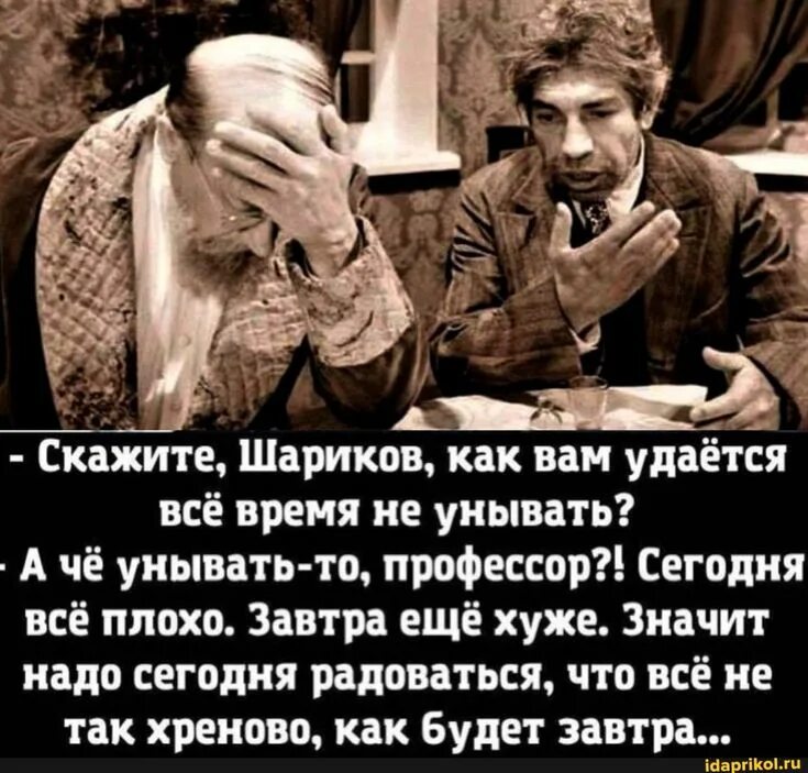 Сказал на шару. Скажите шариков как вам удается все. Шариков говорит профессору. Бестактные высказывания картинки. Шариков говорит Мем.