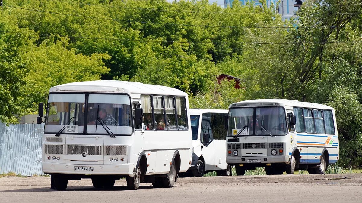 Арзамас 2018. Новороссийск пять новых ПАЗИКОВ. Пазик в Серпухове. Пазик Пригородный новый фото. Пригородные автобусы арзамас