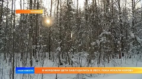 Пока лес
