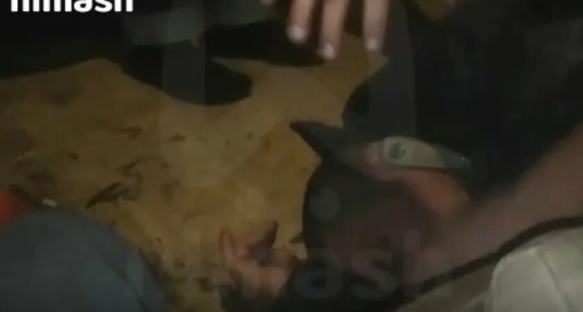 Девушка издевалась над инвалидом. Издевательство над инвалидом. псковские подростки надругались над. подростки издеваются над собакой.