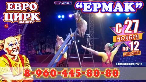Цирк орск