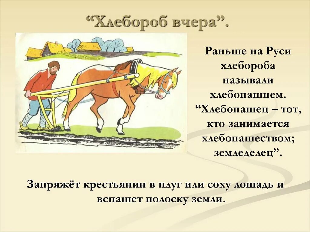 Текст на тему хлебороб 4 класс. Текст на тему в гостях у хлеборобов. загадки о труде хлебороба. небольшой текст на тему в гостях у хлеборобов. сообщение о профессии хлебороба.