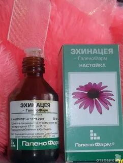 Настой эхинацеи