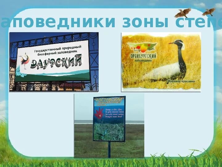Конспект урока степь