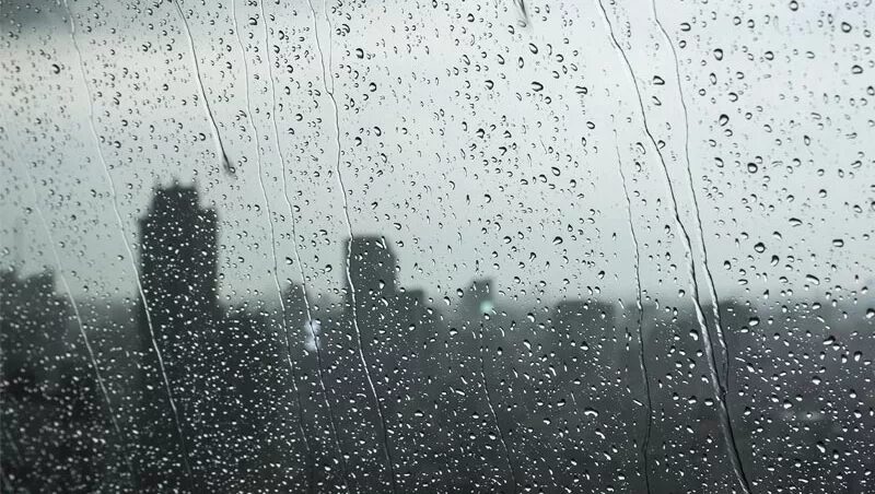 Влажный холод. Природа петрозаводск в дождь. Следующее утро было холодным и пасмурным. Дождливый летний день. Ливень зонт.