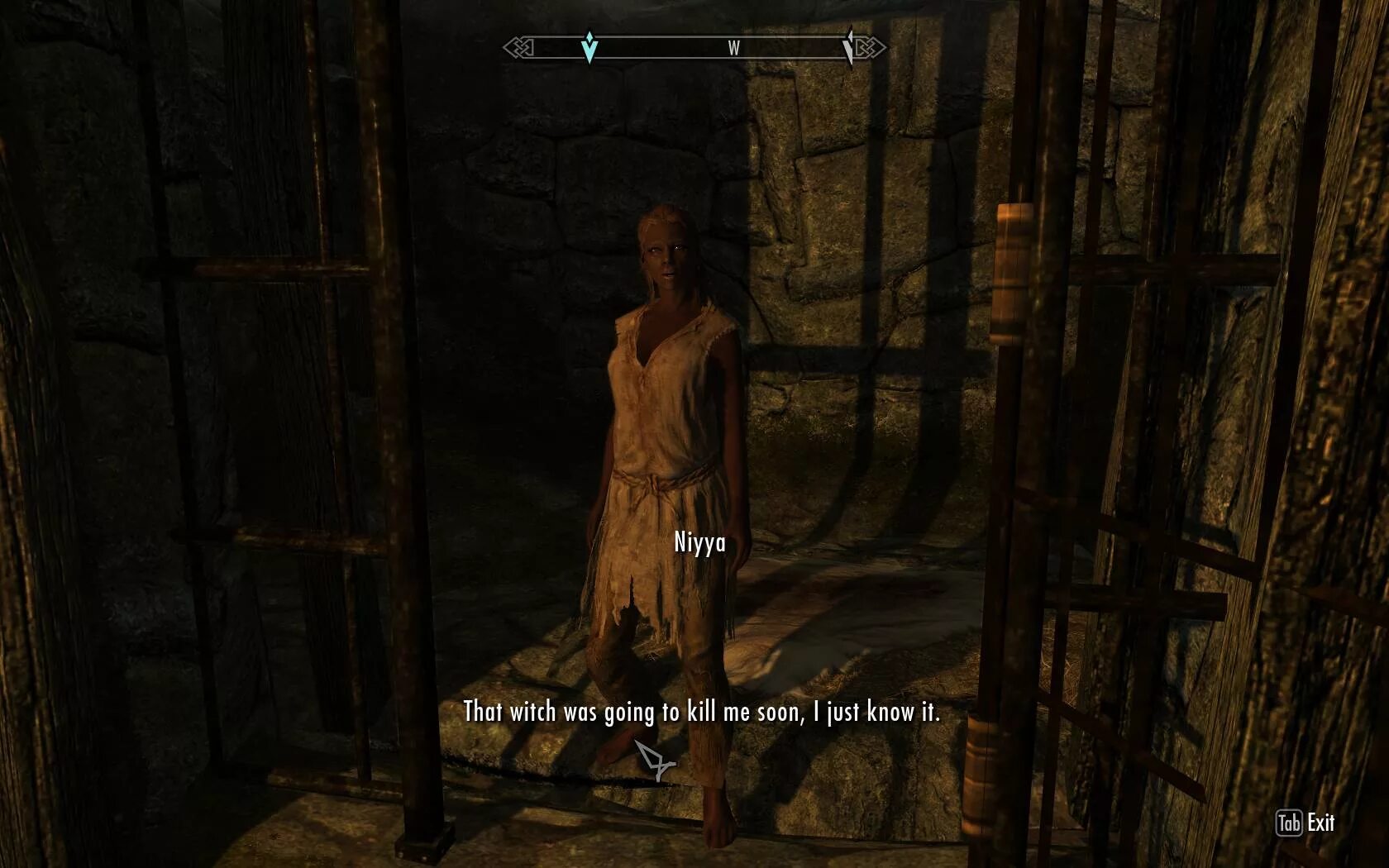 башня тель-митрина на карте скайрим. старые друзья скайрим. скайрим сердце камня. спящие вампиры скайрим. Skyrim квест старые друзья.